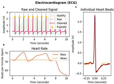 An improved multi-input deep convolutional neural network for automatic emotion recognition